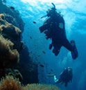 richelieu rock - andaman diving - thailand